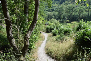 Sticker - Moselsteig, kleiner Wanderweg