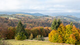 Fototapeta Tęcza - carpathian landscape in october. hills and mountain range in warm sunny weather with low clouds in the sky in autumn