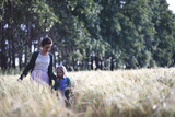 Fototapeta Kuchnia - A young mother walk in wheat fields