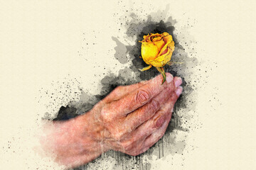  old hand holding a dried yellow rose in watercolor style