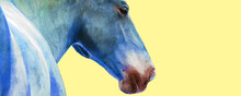 Close Up Digital Watercolor Portrait Of A Horse Isolated On A Yellow Background