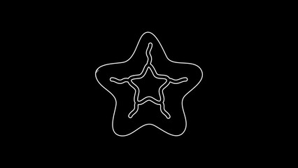 Poster - White line Starfish icon isolated on black background. 4K Video motion graphic animation