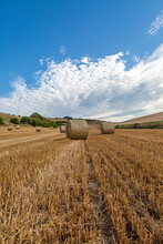 A Field With Hay Bales In Sussex, On A July Evening
