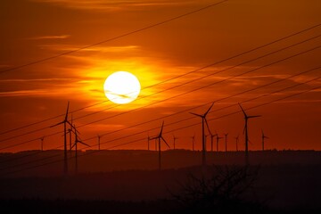 Wall Mural - Beautiful view of wind turbines and power lines at sunset