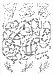 Wall Mural - Maze game and coloring book labyrinth for children. Find way for koalas to food. Education activity page and worksheet. Cartoon vector illustration.