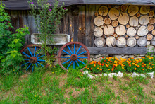 Picturesque Traditional Garden Decoration Made Of Flowers And Old Blue Wooden Wheels, Countryside, Slovakia, Europe