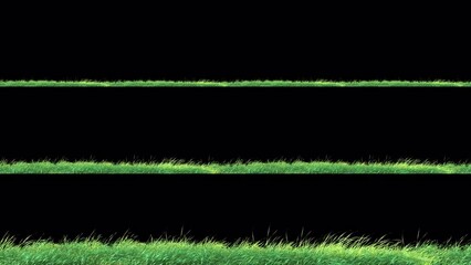 Wall Mural - grass wind slow seamless loop with alpha channel. element footage place on footage or background and