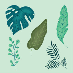 Wall Mural - five leafs foliage icons
