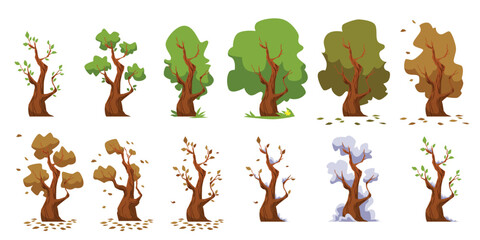 Tree seasonal changes cycle infographic set, flat vector illustration isolated.