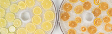 Fresh And Ready Lemon Slices In Drying Equipment
