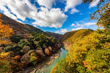 Sticker - 秋の京都・嵐山公園の亀山展望台から見た、紅葉に彩られた山の間を流れる桂川と背景の青空