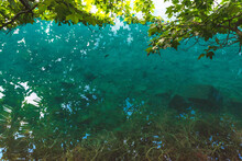 Kolor Wody Jezioro Bled