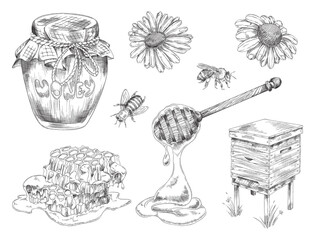 Wall Mural - Honey production and apiary items set, engraving vector illustration isolated.