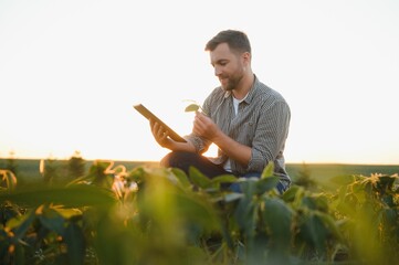 Young farmer in soybean fields