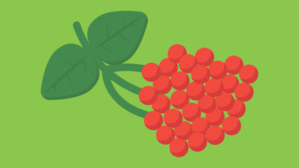 Sticker - bunch of mountain ash on a green background