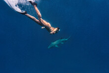 Woman With Nurse Sharks Swimming In Sea