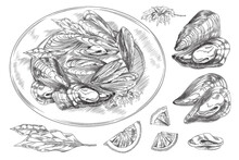 Mussel Seafood Dish Ingredients Set Engraving Vector Illustration Isolated.