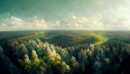 Wall Mural - Aerial view of green forest on the mountain with sky background.