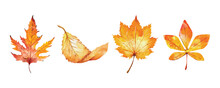 Collection Of Watercolor Autumn Leaves Vector Design