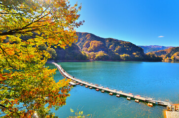 Wall Mural - 奥多摩湖　麦山の浮橋（ドラム缶橋）と紅葉の風景