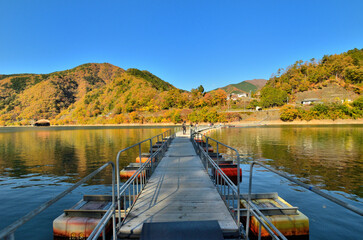 Wall Mural - 奥多摩湖　麦山の浮橋（ドラム缶橋）と紅葉の風景