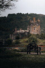 ruins of castle