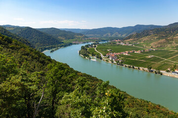 Wall Mural - Vineyards by the Danube river in Wachau valley. Lower Austria.