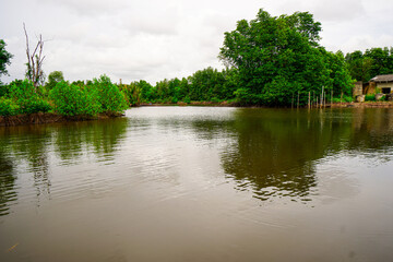 Canvas Print - lake in the park