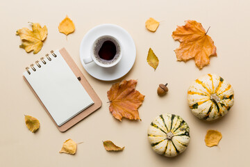 Wall Mural - autumn composition: fallen leaves and notebook mock up on colored background. top view. flat lay wit
