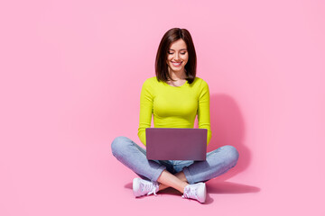 Wall Mural - photo of successful specialist lady sit use netbook colleagues communication isolated on pink color 