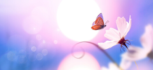 Fotomurales - Beautiful natural pastel background. Butterfly and flower against on a background of sunrise.