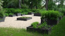 A Raised Bed Garden In Landscape Design. There Are Many Types Of Other Young Plant Seedlings Between Medicinal Herbs Potted In The Containers Made As Wooden Boxes.