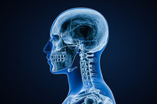 Xray Image Of Lateral Or Profile View Of Skull Of Adult Male With Body Contours Isolated On Blue Background 3D Rendering Illustration. Anatomy, Medicine, Medical, Science, Osteology Concept.