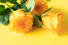 Fresh Yellow Roses On A Yellow Background. Background For Congratulations On Mother's Day, Birthday Or Other Holiday.