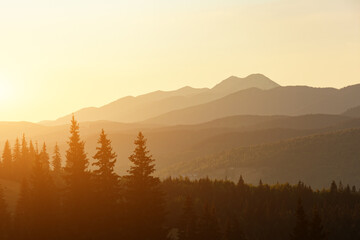 Wall Mural - foggy evening landscape in Carpathian Mountains, Ukraine.