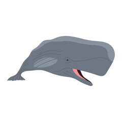 Sticker - sperm whale animal