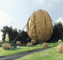 The Girl In The Giant Walnut World
