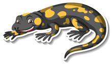 Gecko Animal Cartoon Sticker