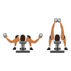 Man doing Flat bench dumbbell fly exercise. top view. Flat vector illustration isolated on white background