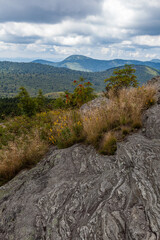 Wall Mural - Black Balsam and Graveyard Fields in Pisgah National Forest on the Blue Ridge Parkway