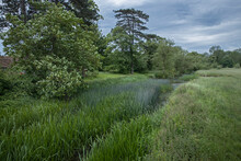 Buckinghamshire, Milton Keynes, Ouse Valley Park, Uk, England, River,
