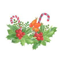 Traditional Winter Holidays Plant, Candy Canes, Dog Rose, Holly Leaves And Berries,end Of The Year Celebrations Symbol, Family And Home