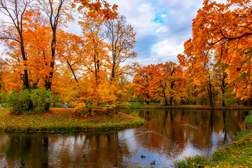 Wall Mural - Alexander park in autumn, Pushkin, Saint Petersburg, Russia