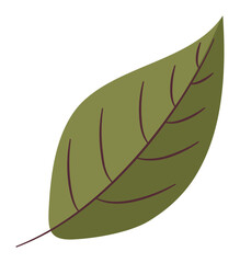 Poster - green leaf illustration