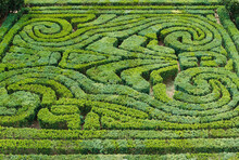 View Of A Hedge Maze