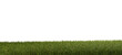 green meadow grass 3d-illustration transparent