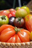 Fototapeta Kuchnia - Fresh and nutritious tomato object, orgamic heirloom tomato