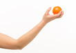 © serhii - female hands holding an orange sponge ball on a white background isolated