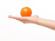 © serhii - female hands holding an orange sponge ball on a white background isolated