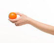 © serhii - female hands holding an orange sponge ball on a white background isolated